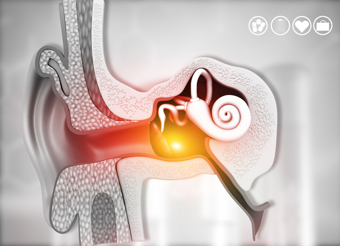 Illustrazione 1 - Otorinolaringoiatria