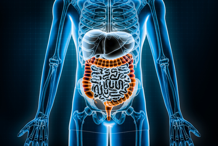 Illustrazione 1 - Gastroenterologia