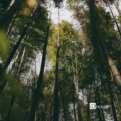 Illustrazione 1 - Psicologia