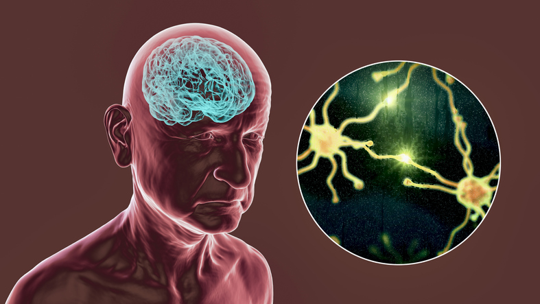 Illustrazione 4 - Neurologia