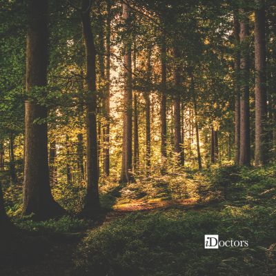 Illustrazione 2 - Psicologia