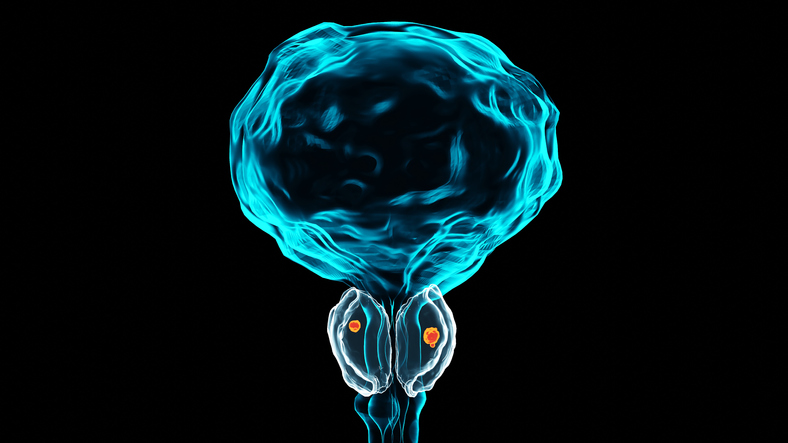 Illustrazione 1 - Urologia