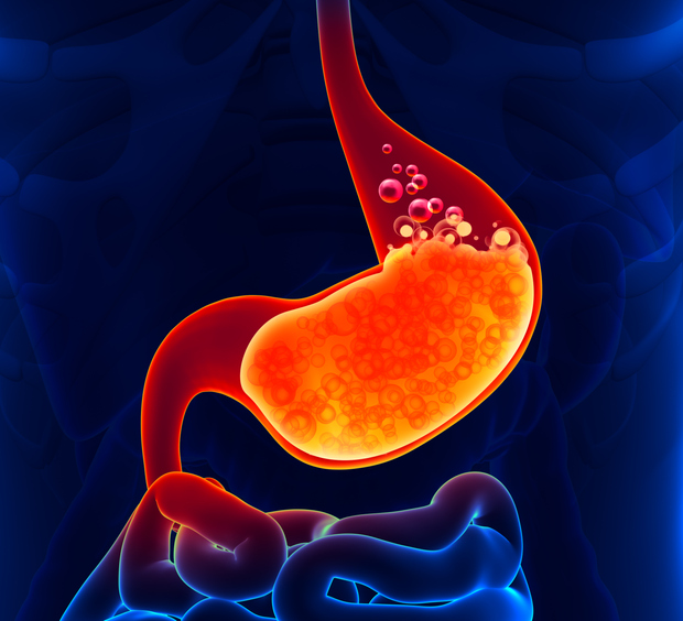 Illustrazione 1 - Gastroenterologia