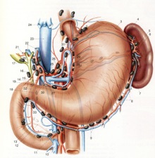 Illustrazione 3 - Chirurgia Generale