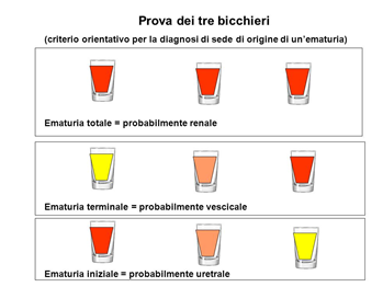 Illustrazione 2 - Urologia