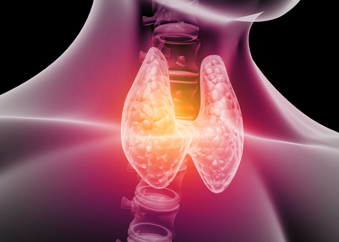 Illustrazione 1 - Endocrinologia