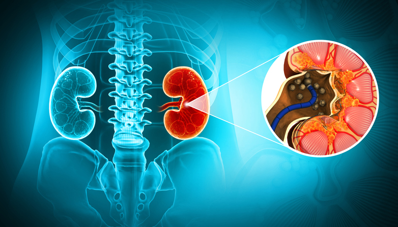 Illustrazione 1 - Urologia