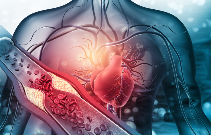 Illustrazione 1 - Cardiologia