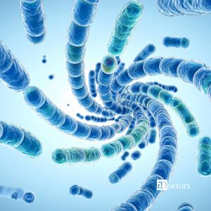 Illustrazione di batteri Streptococcus pyogenes