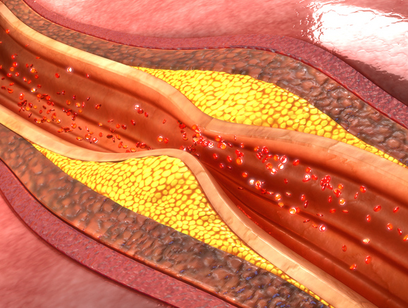 Illustrazione 1 - Cardiologia