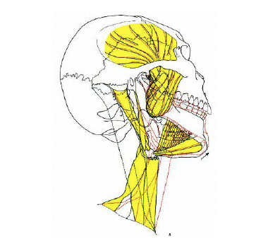 Illustrazione 1 - Odontoiatria