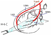 Illustrazione 1 - Cardiologia