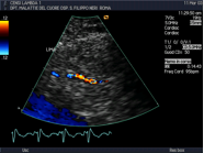 Illustrazione 2 - Cardiologia