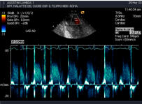 Illustrazione 4 - Cardiologia