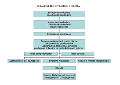 Illustrazione 1 - Dietologia