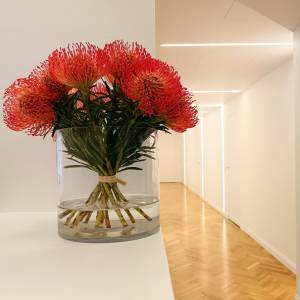 Galleria Gapclinics Centro Medico Sempione foto 1