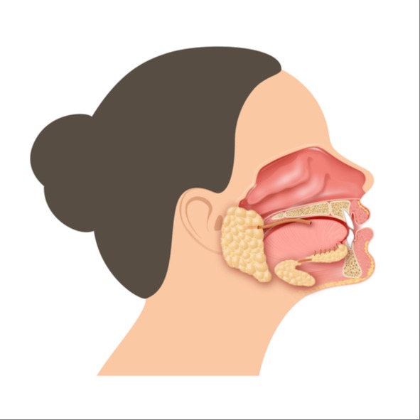 Patologie delle ghiandole salivari