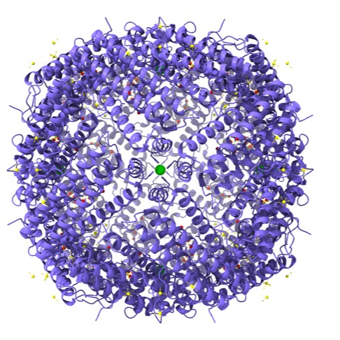 Iperferritinemia