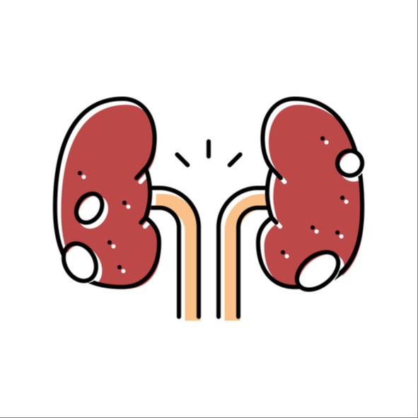 Glomerulonefriti