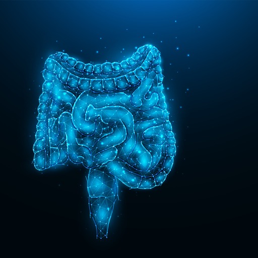 Tumore dell'intestino