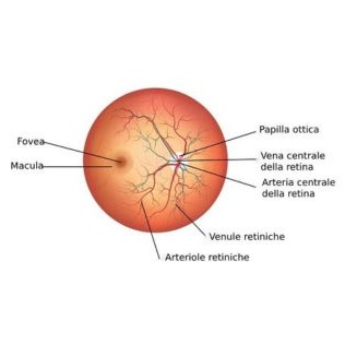 Edema maculare