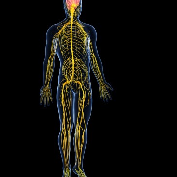 Neuroblastoma