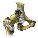 Galleria Dr. Pietro Albano foto 4