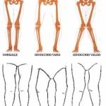 Galleria Dr. Pietro Albano foto 1