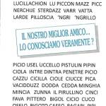 Galleria Dr. Giuseppe Romeo Tecci foto 1
