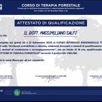 Galleria Dr. Massimiliano Salfi foto 2