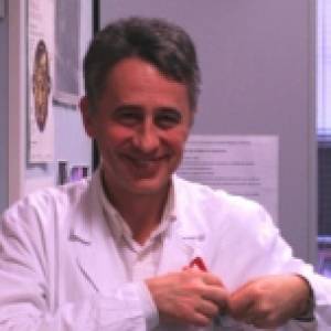 Dr. Umberto Maggi